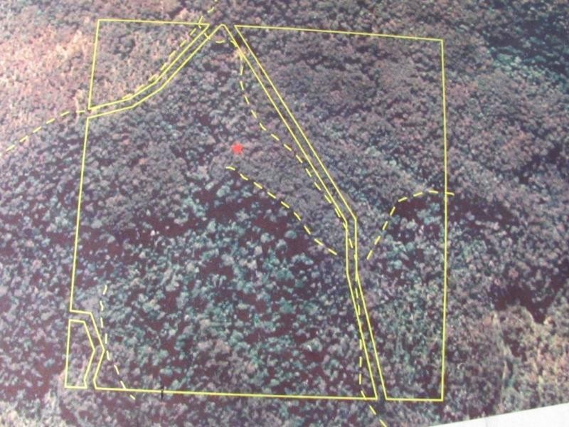 L23 Top Swanfels Road, Swanfels QLD 4371