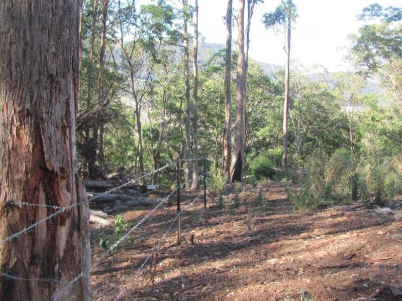 L23 Top Swanfels Road, Swanfels QLD 4371