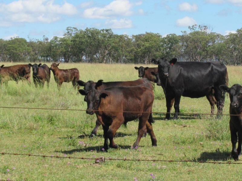 Greymare QLD 4370