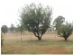Willowvale QLD 4370