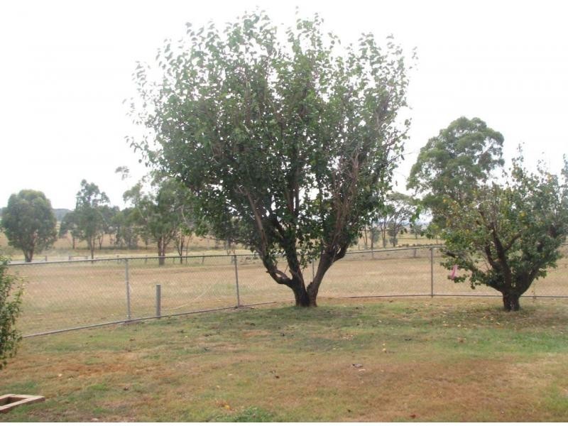 Willowvale QLD 4370