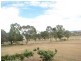 Willowvale QLD 4370