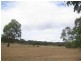 Willowvale QLD 4370