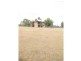 Willowvale QLD 4370
