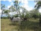 Rosenthal Heights QLD 4370