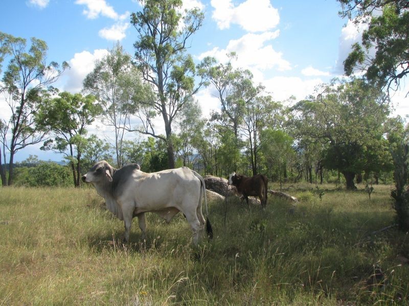 Rosenthal Heights QLD 4370