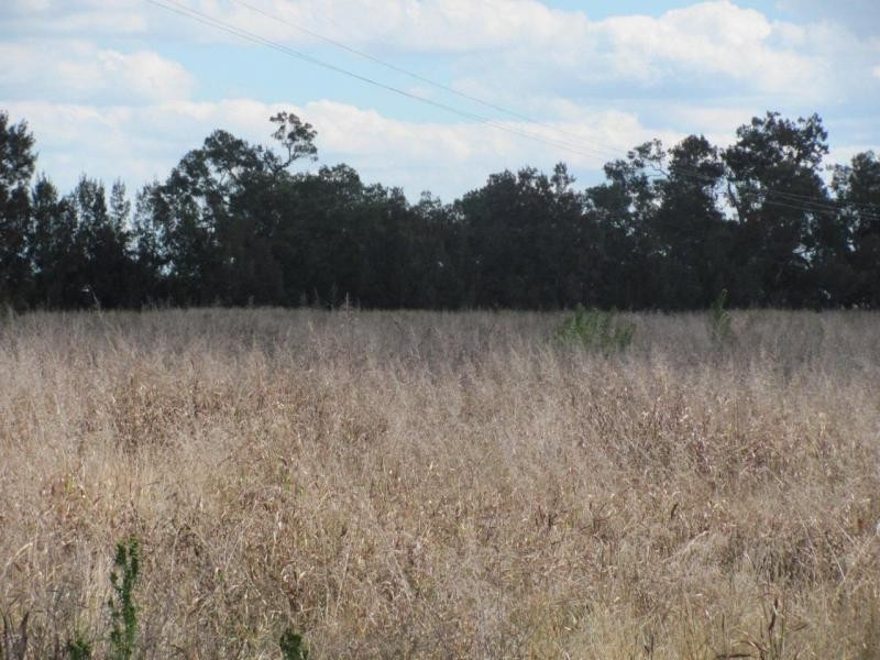 Allora QLD 4362