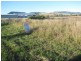 Freestone QLD 4370