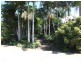 Pacific Haven QLD 4659