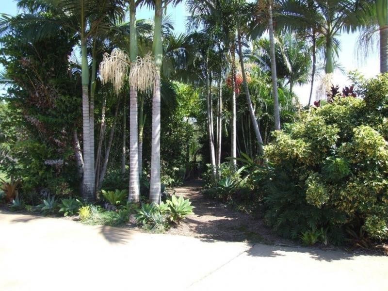 Pacific Haven QLD 4659