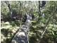 Pacific Haven QLD 4659