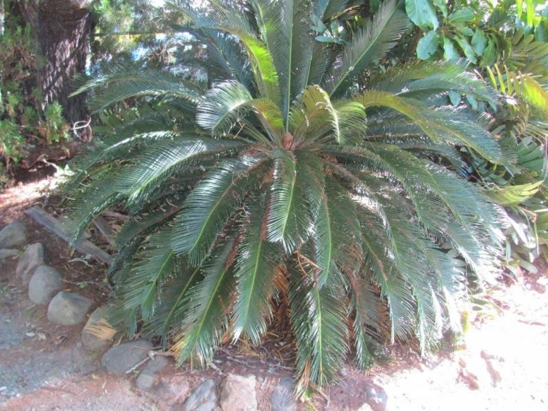 41 Tina Street, Beaudesert QLD 4285