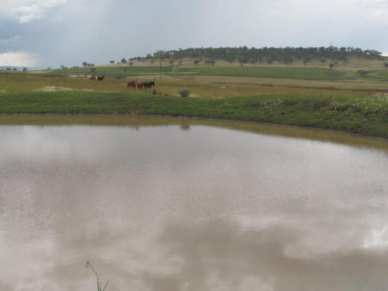 Mount Marshall QLD 4362