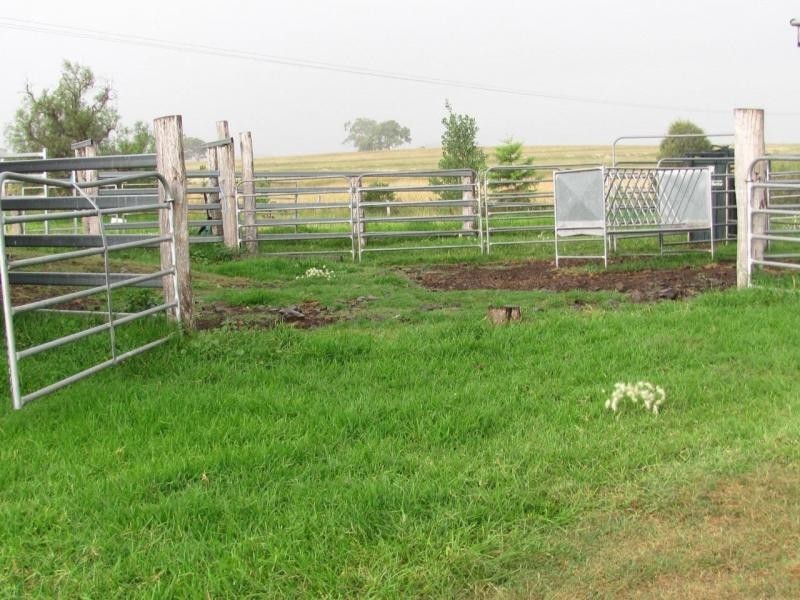 Mount Marshall QLD 4362