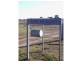 Beebo QLD 4385