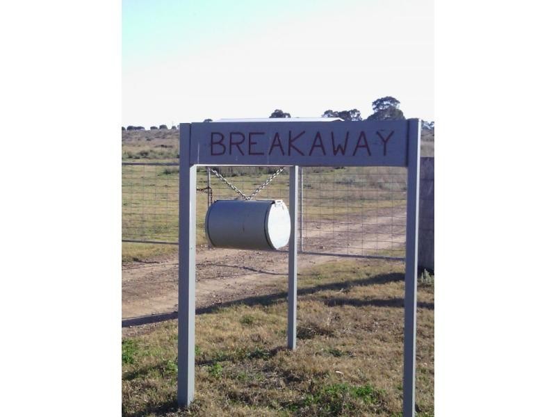Beebo QLD 4385