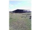 Beebo QLD 4385