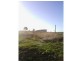 Beebo QLD 4385