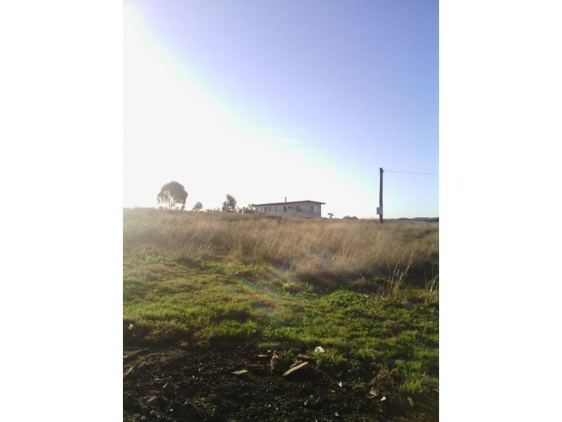 Beebo QLD 4385