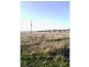 Beebo QLD 4385