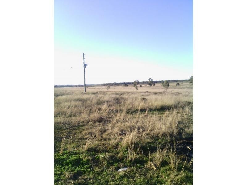 Beebo QLD 4385