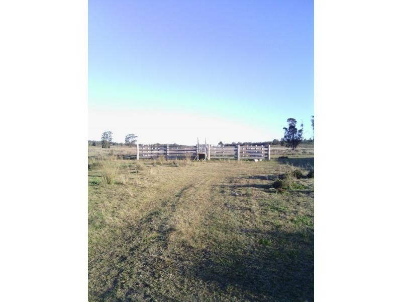Beebo QLD 4385