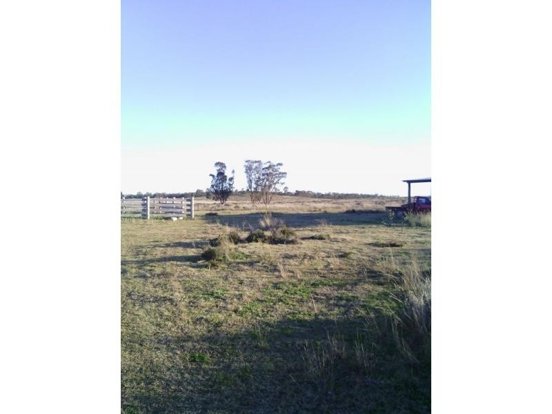 Beebo QLD 4385