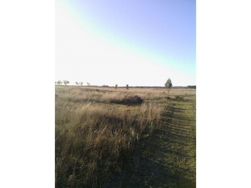 Beebo QLD 4385