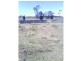 Beebo QLD 4385
