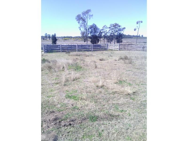 Beebo QLD 4385