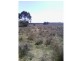 Beebo QLD 4385
