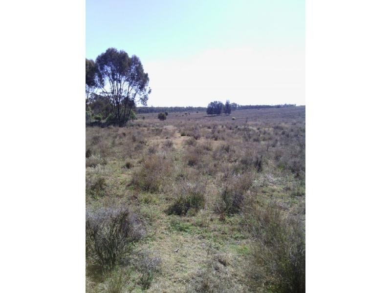Beebo QLD 4385