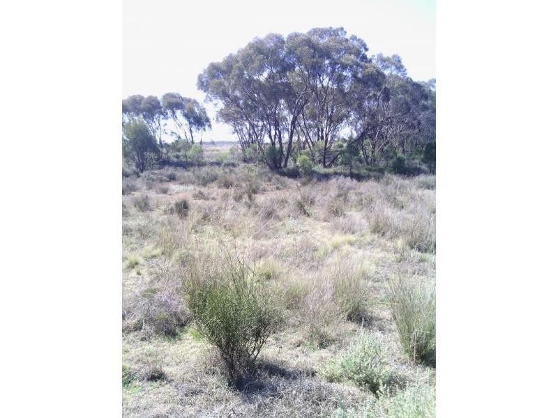 Beebo QLD 4385