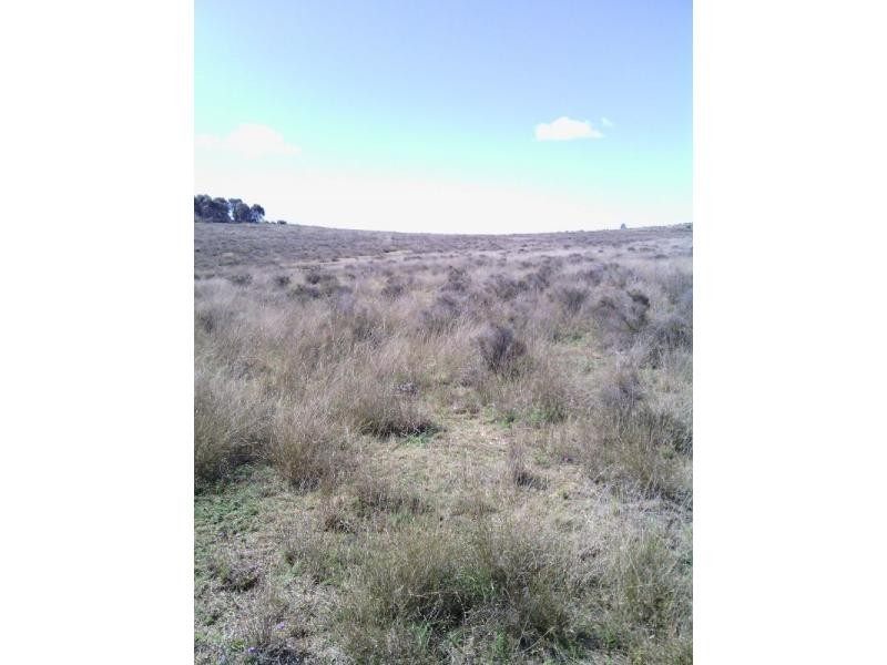 Beebo QLD 4385