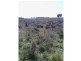 Beebo QLD 4385