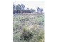 Beebo QLD 4385
