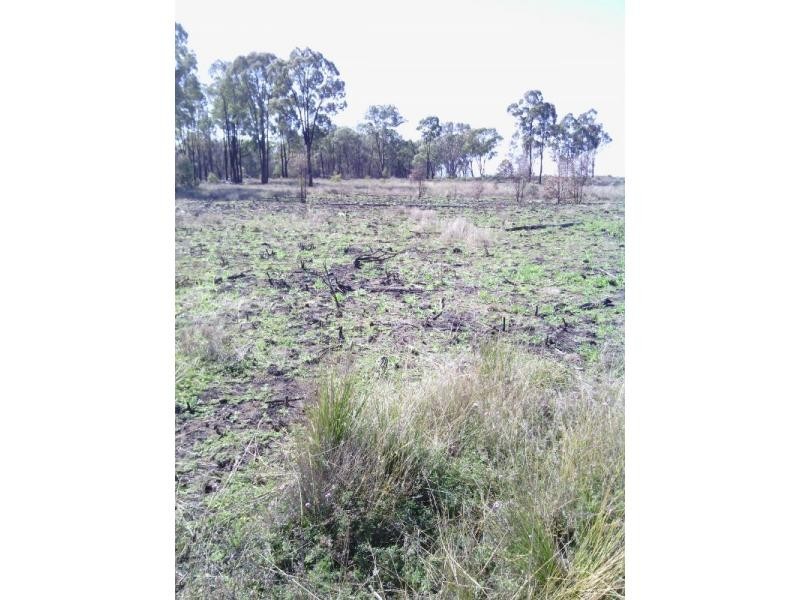 Beebo QLD 4385