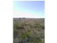 Beebo QLD 4385