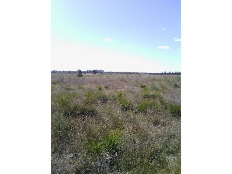 Beebo QLD 4385