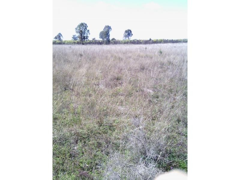 Beebo QLD 4385