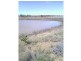 Beebo QLD 4385