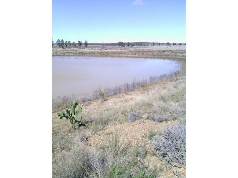 Beebo QLD 4385
