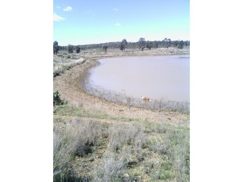 Beebo QLD 4385