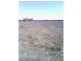 Beebo QLD 4385
