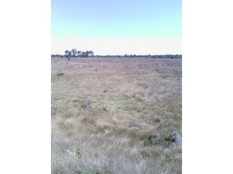 Beebo QLD 4385
