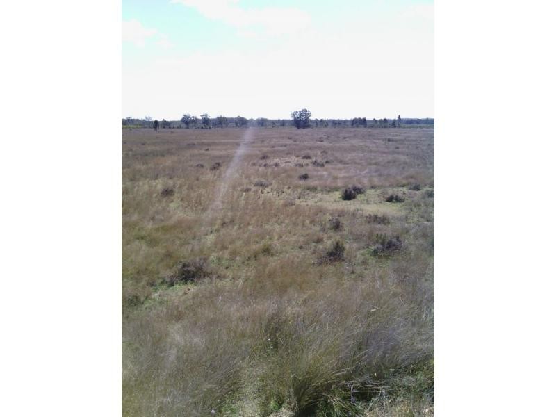 Beebo QLD 4385