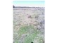 Beebo QLD 4385