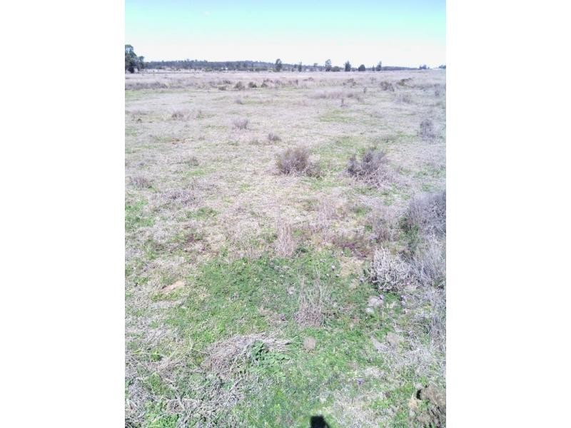 Beebo QLD 4385