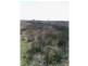 Beebo QLD 4385