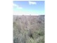 Beebo QLD 4385